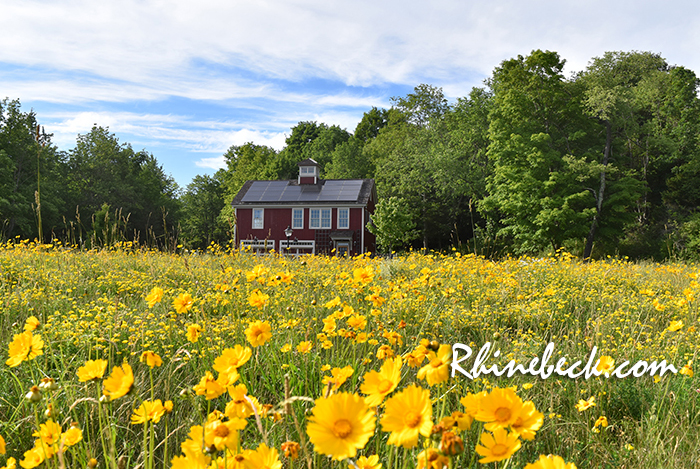 Visit Rhinebeck, New York
